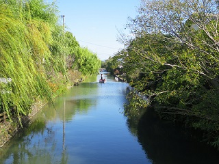 水郷柳河の写真