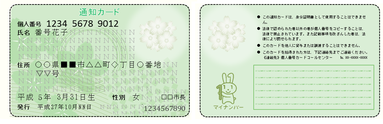 My Number Card | Saga JET Programme