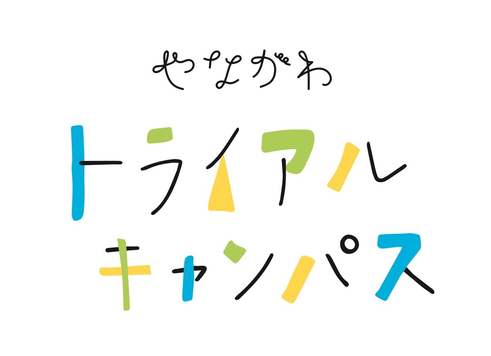 パンフレット表紙の画像