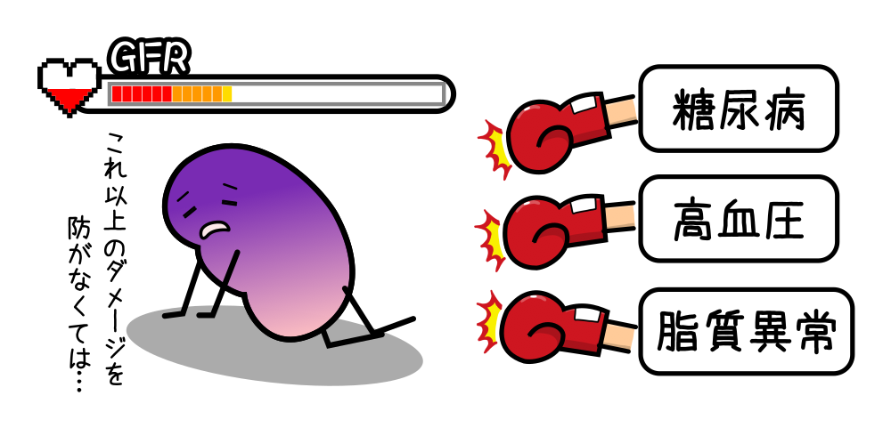 腎臓　花子ノート.png