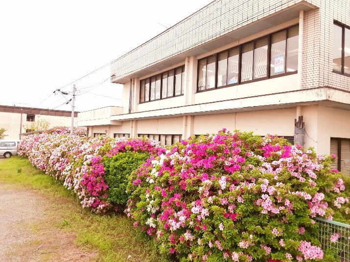 6(大和市民サービス).jpg