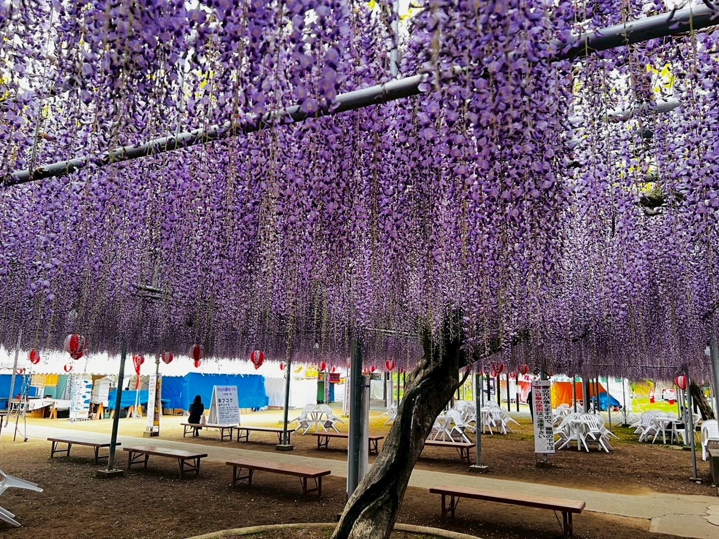 ②.JPG