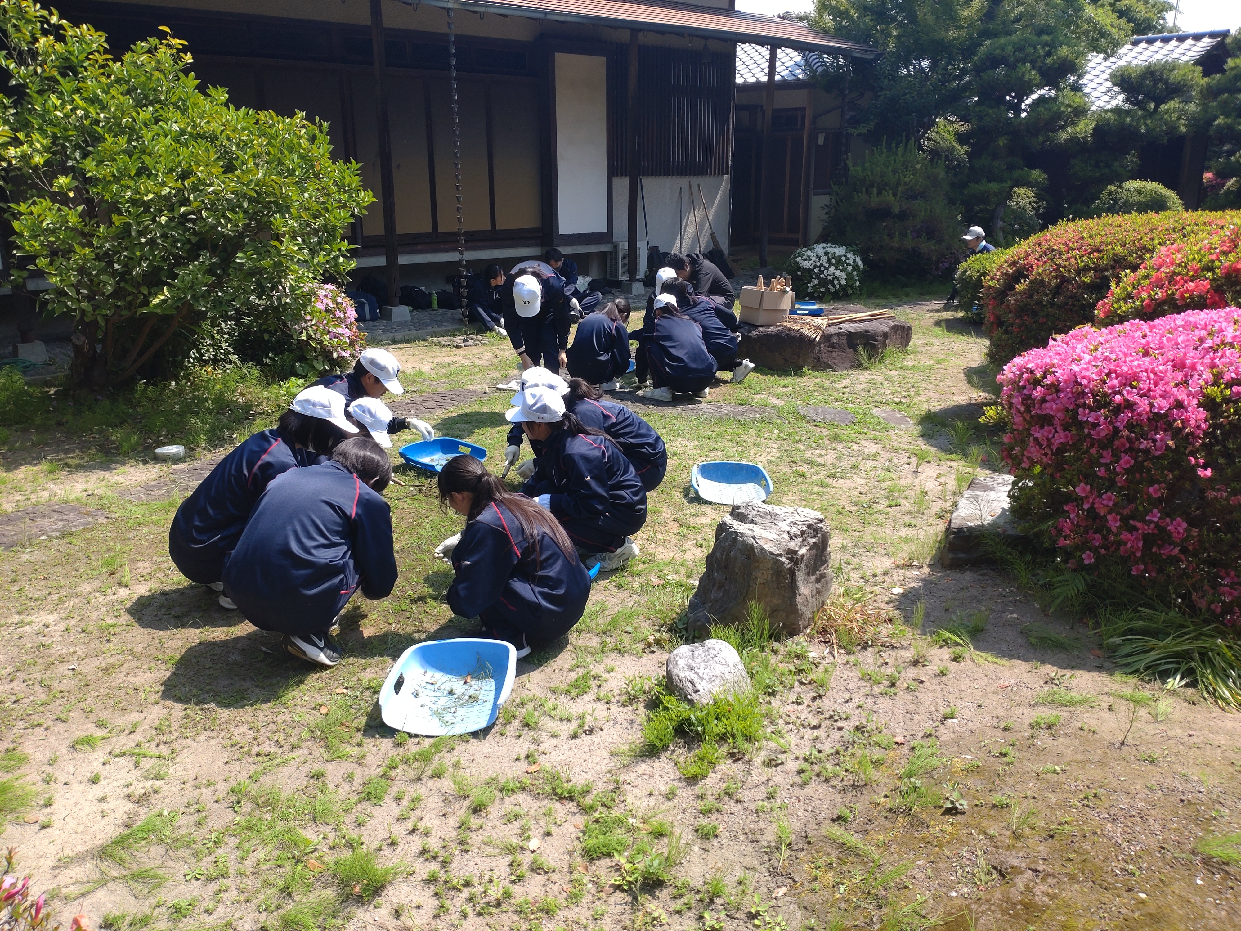 除草