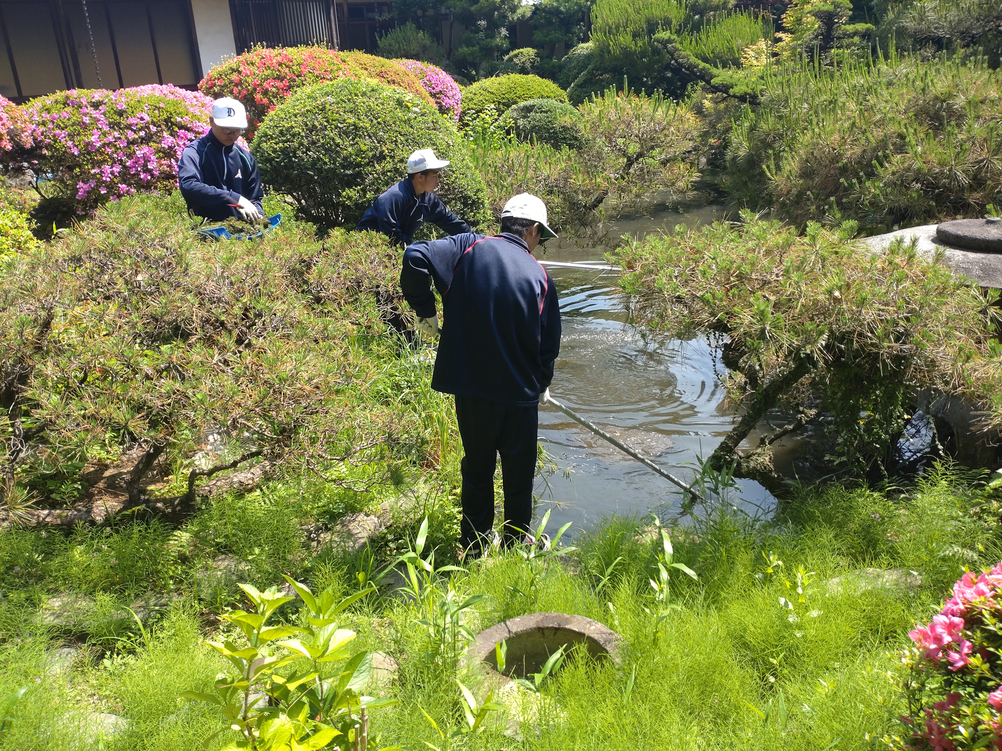 藻上げ