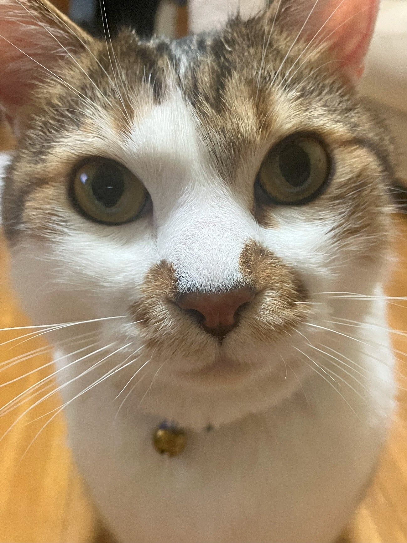 写真③.jpg