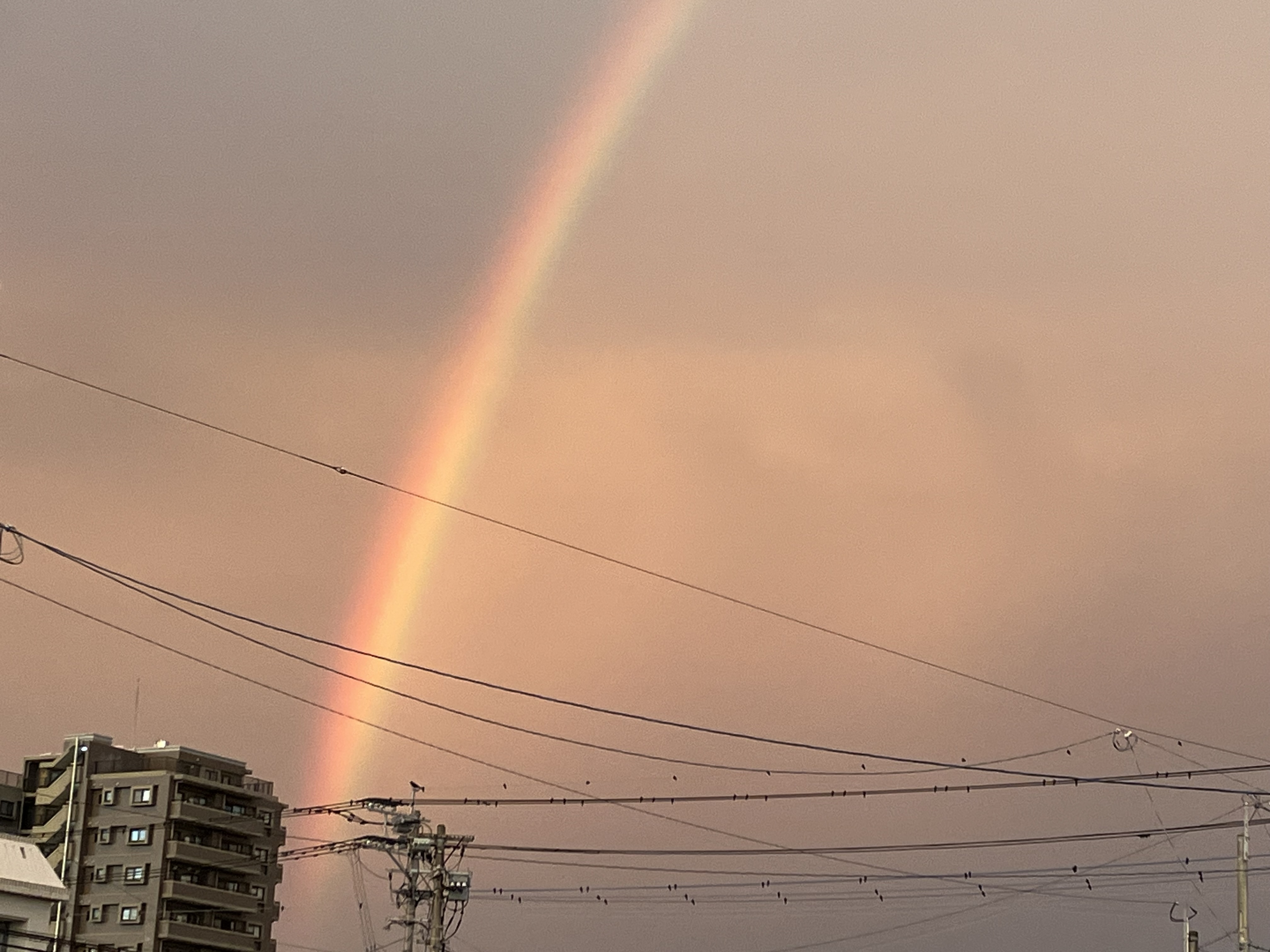 写真２.jpg