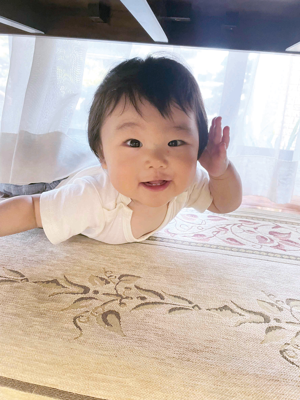 福井朝陽ちゃん