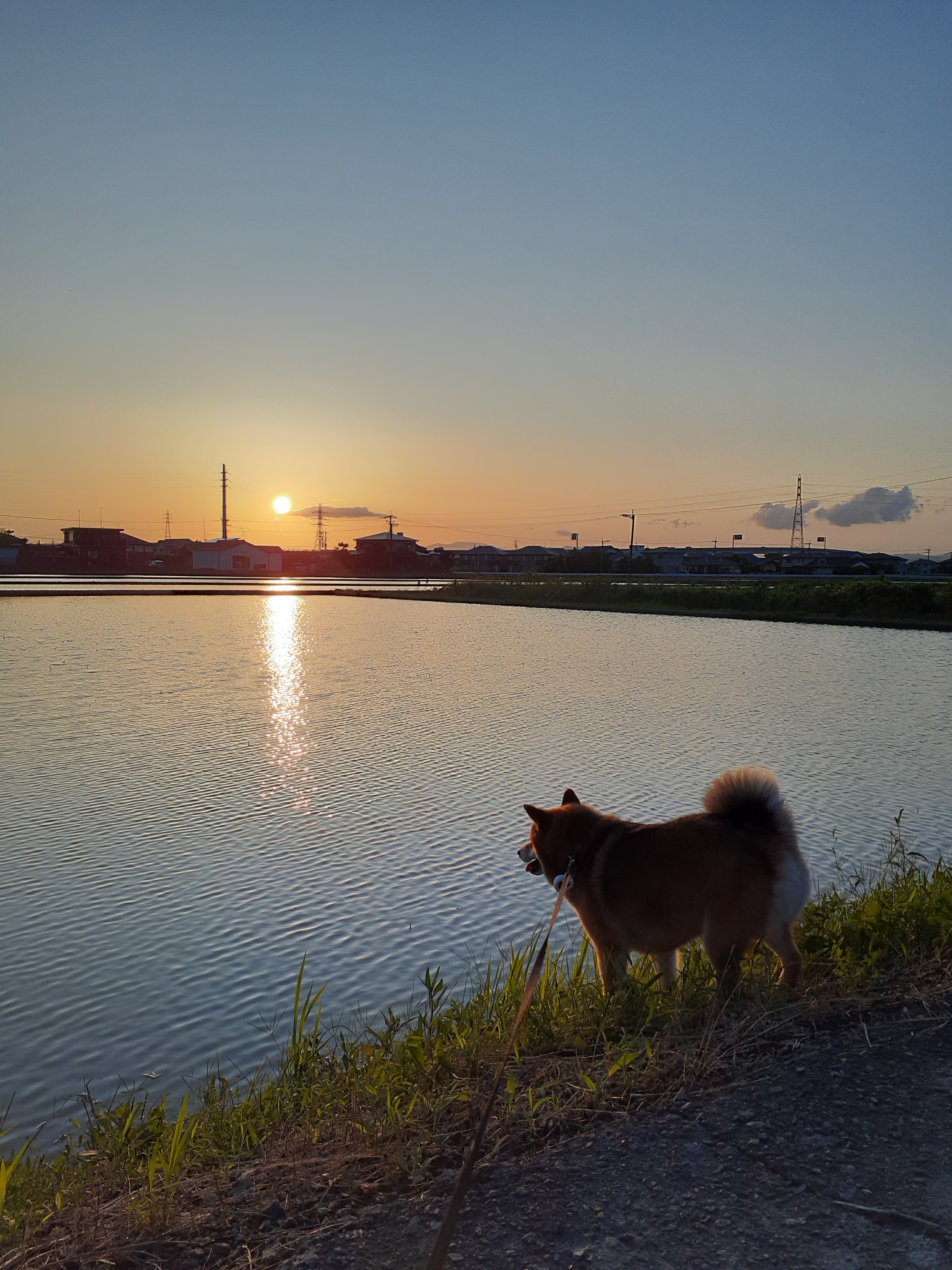 写真3.jpg