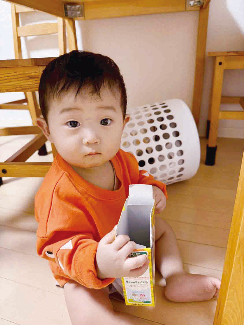 柏木碧斗ちゃん