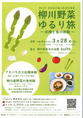 チラシサムネイル画像20260328柳川野菜ゆるり旅.jpg