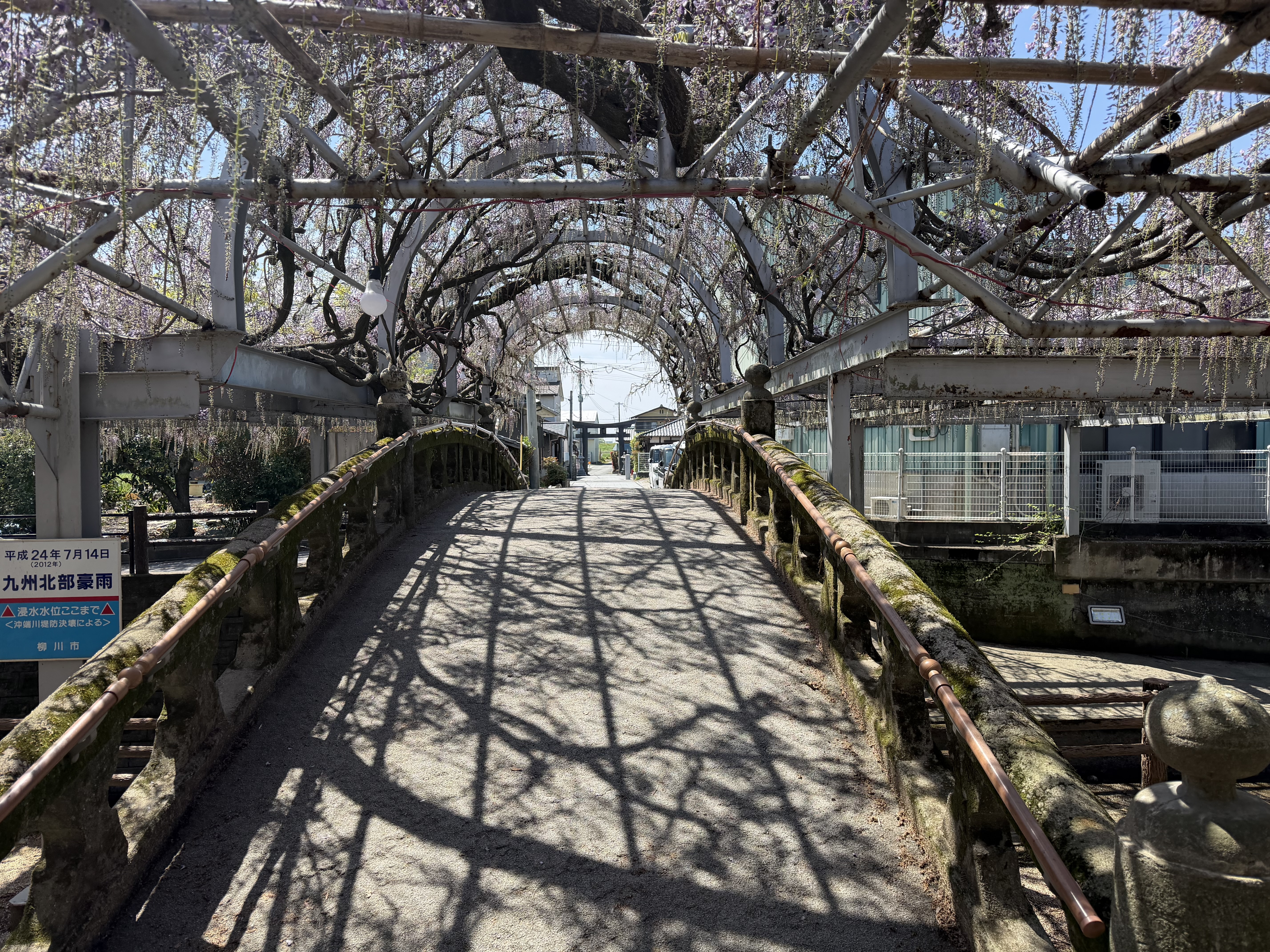 20260411_太鼓橋近景.JPG