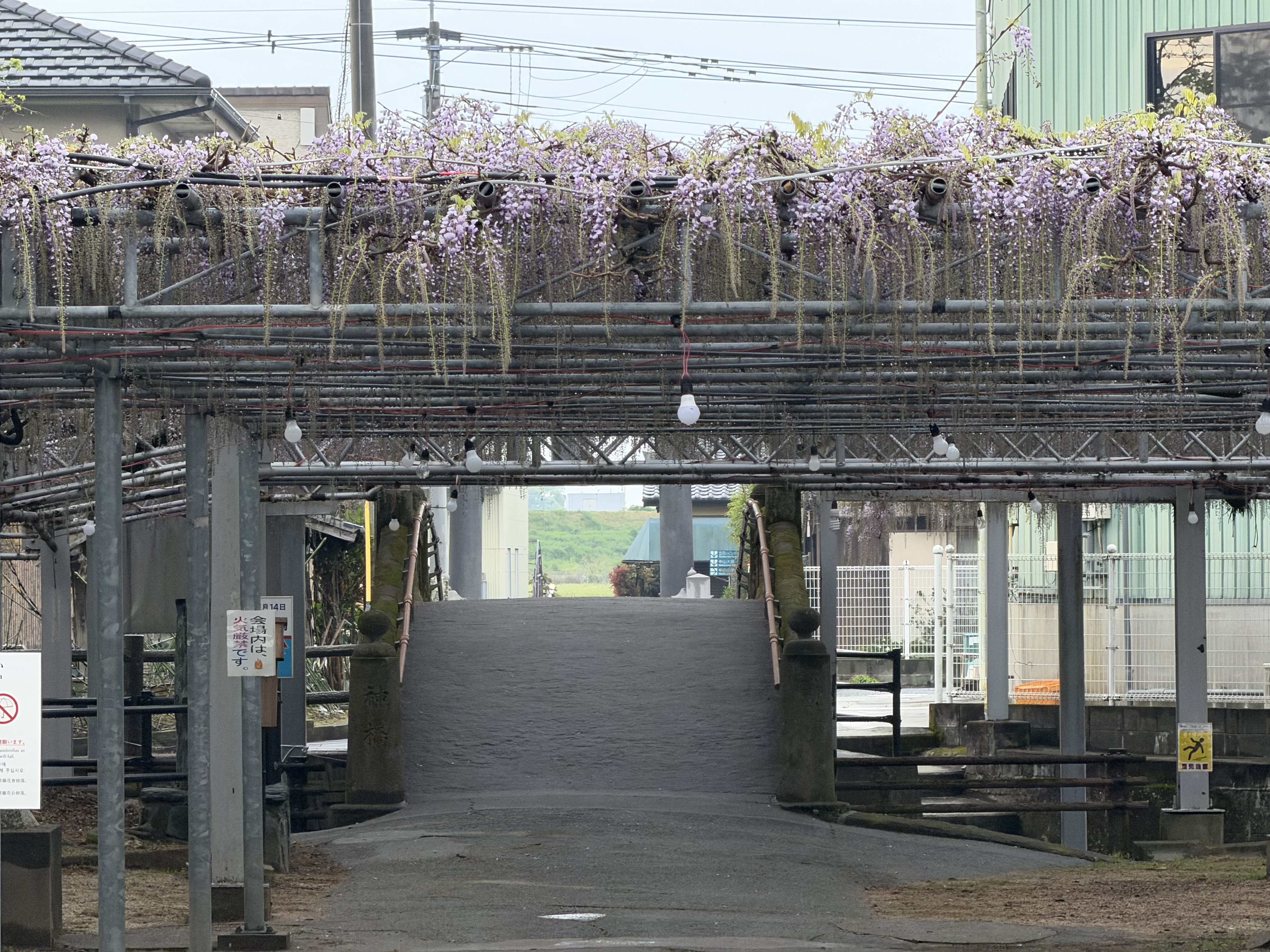 20260413_参道から.JPG