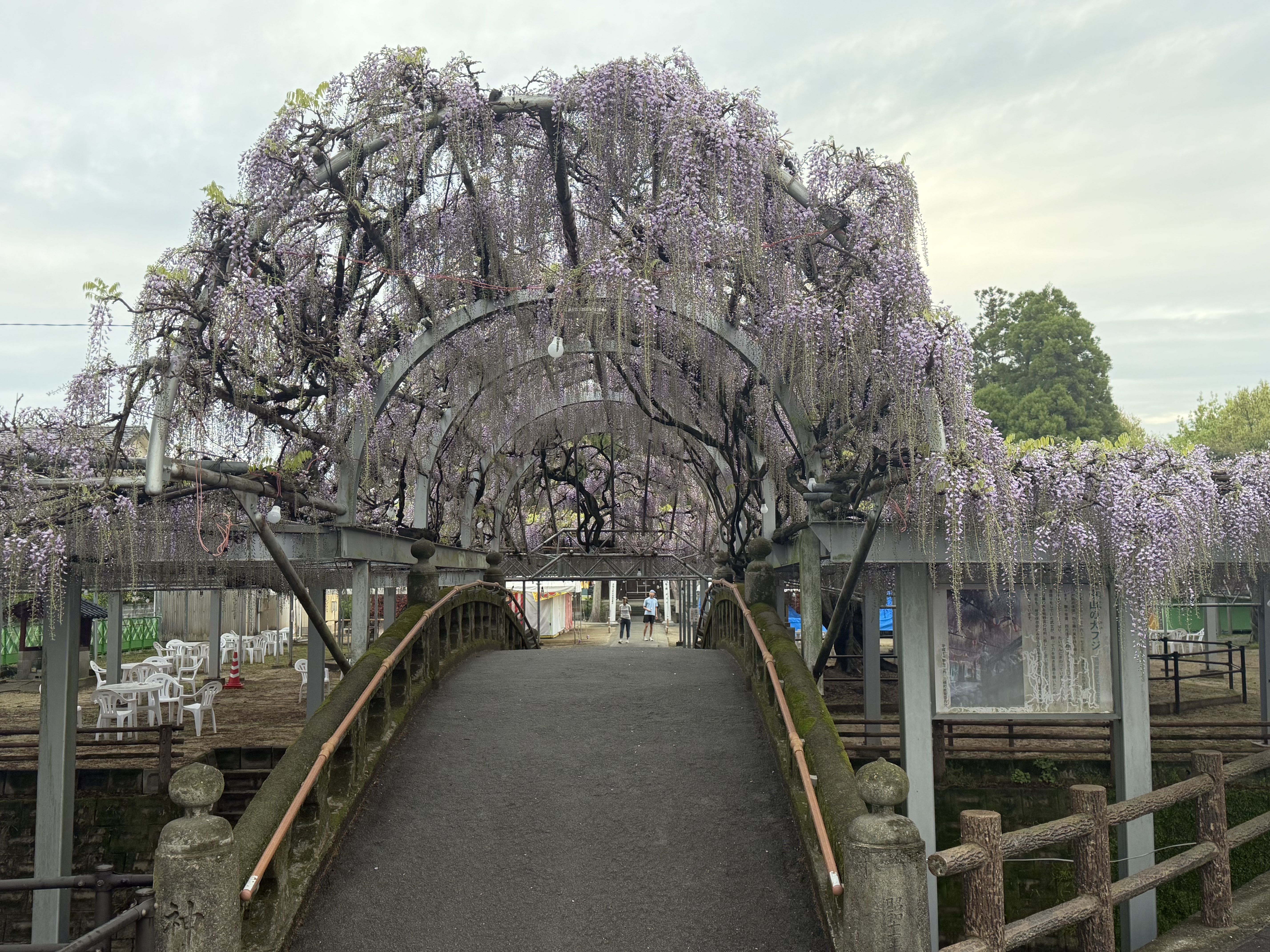 20260413_太鼓橋アーチ.JPG
