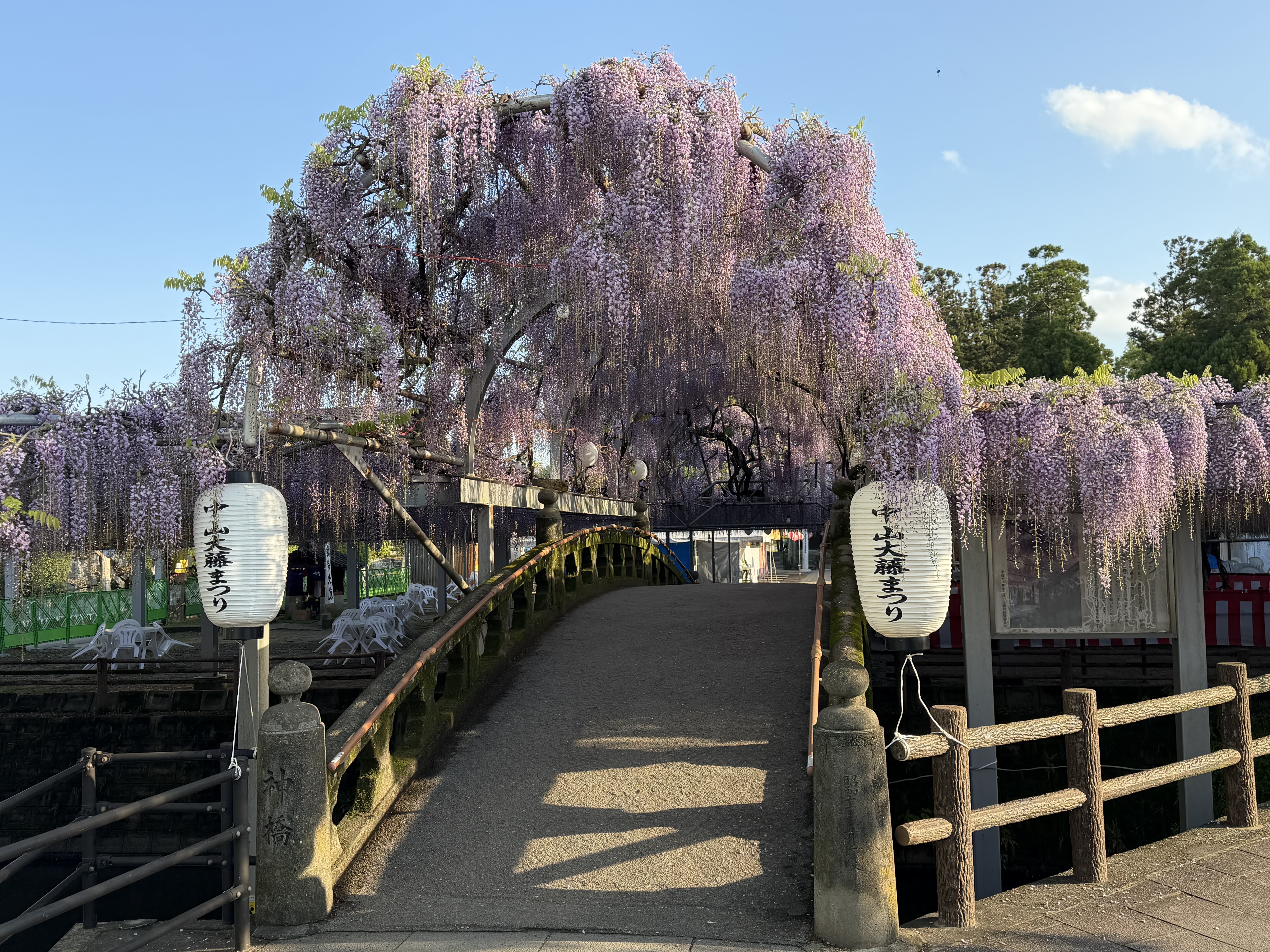 20260416_太鼓橋正面.JPG