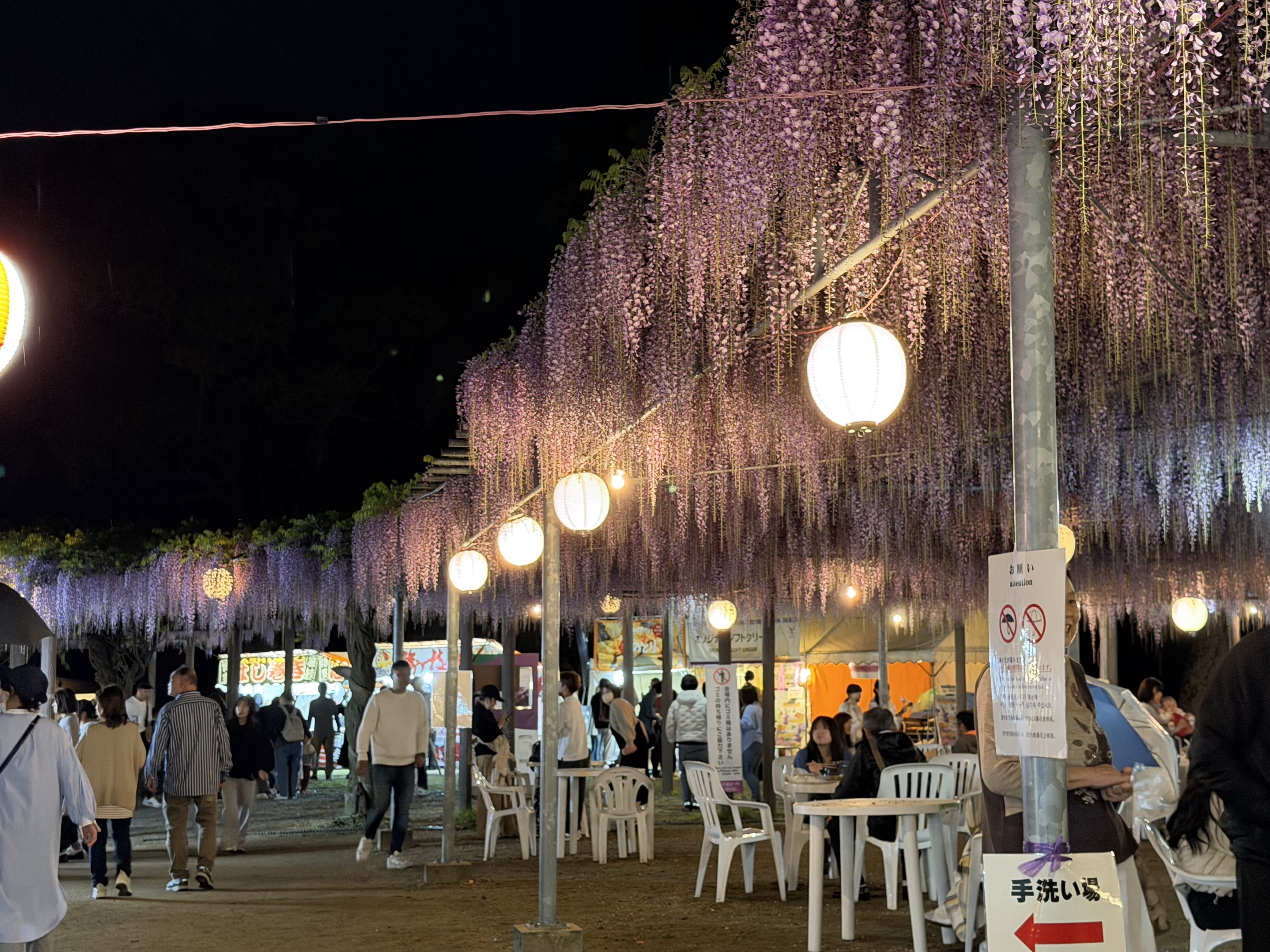 20260418_会場全体夜.JPG