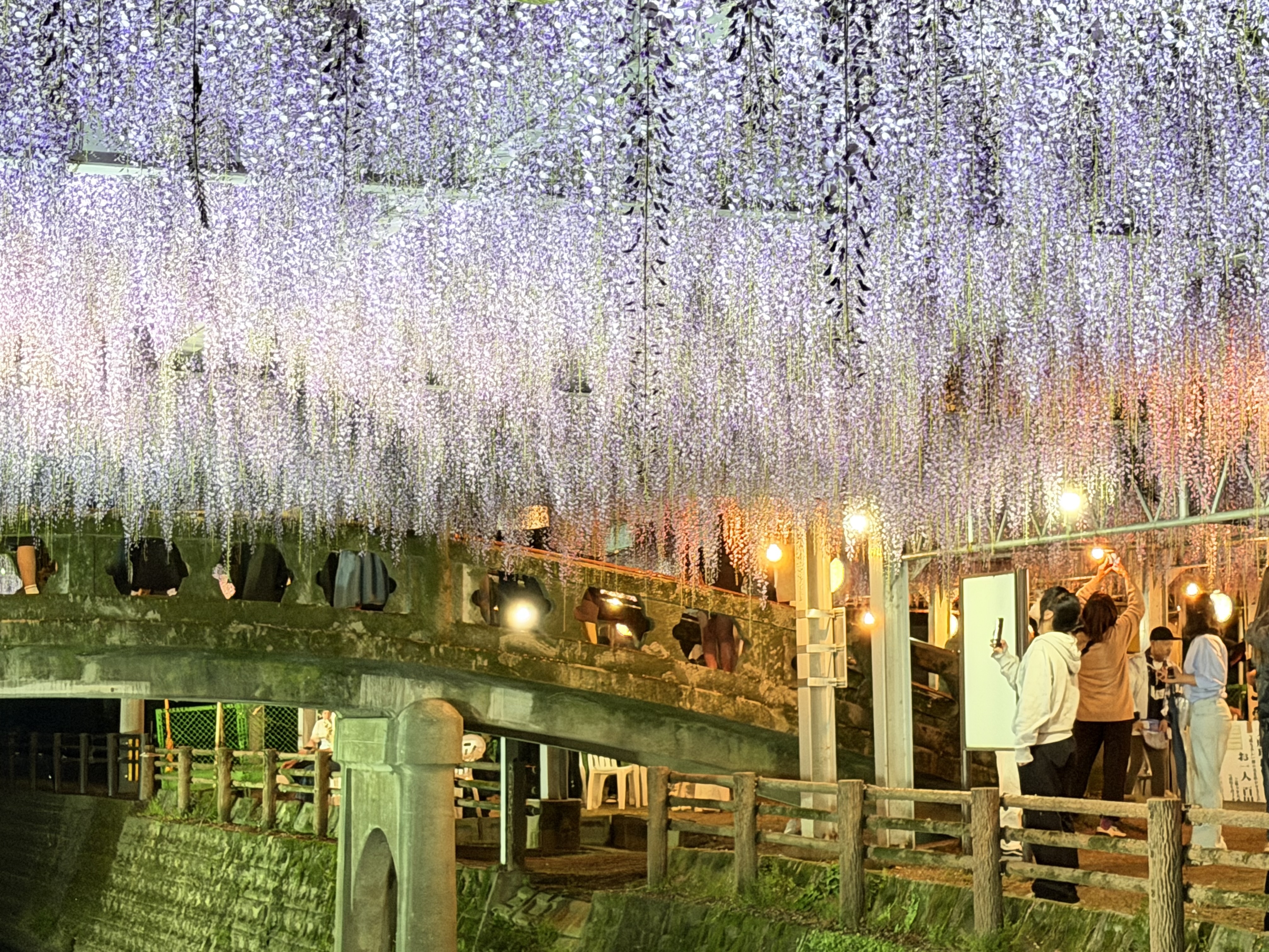 20260419_会場全体夜.JPG