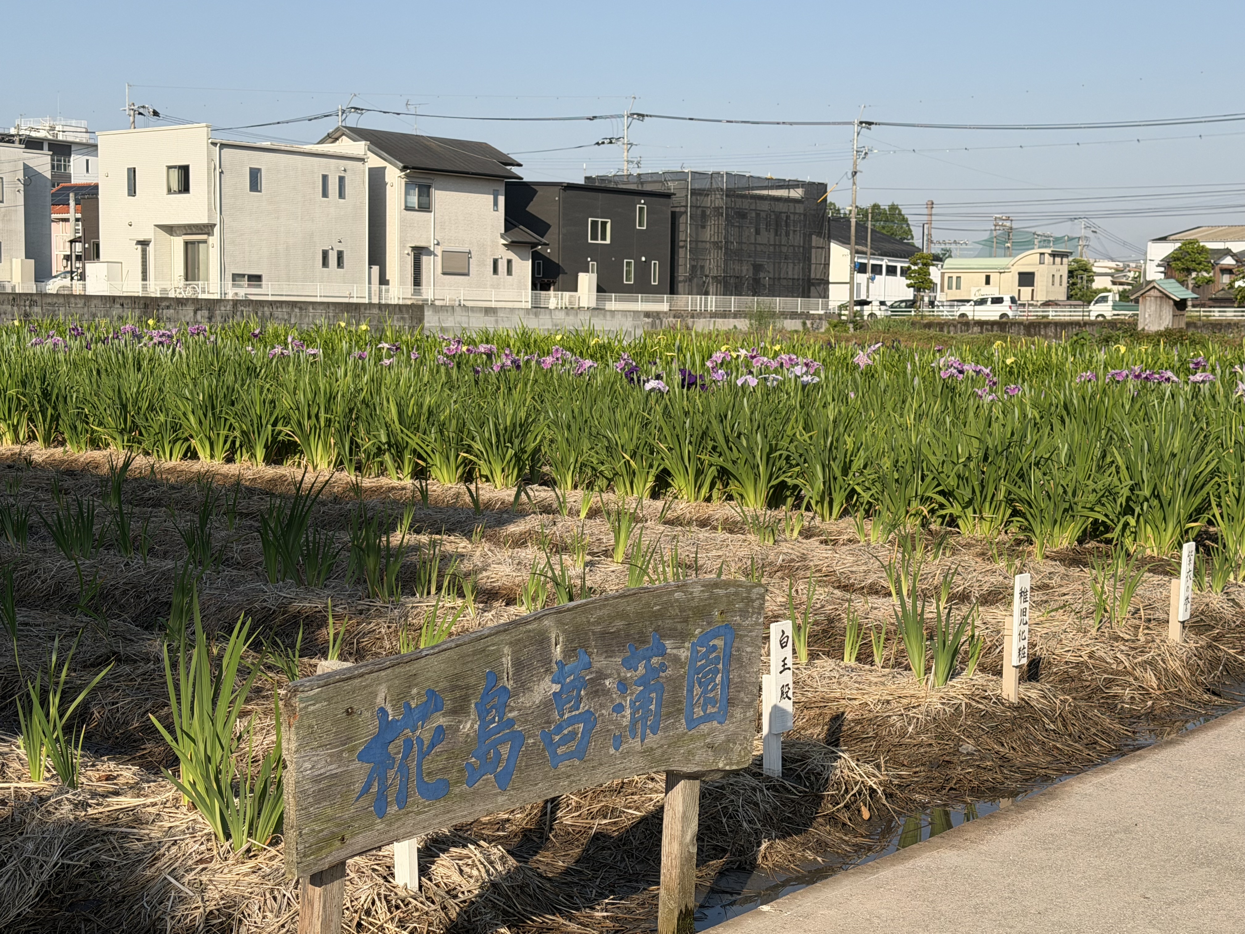 20260518_全体.JPG