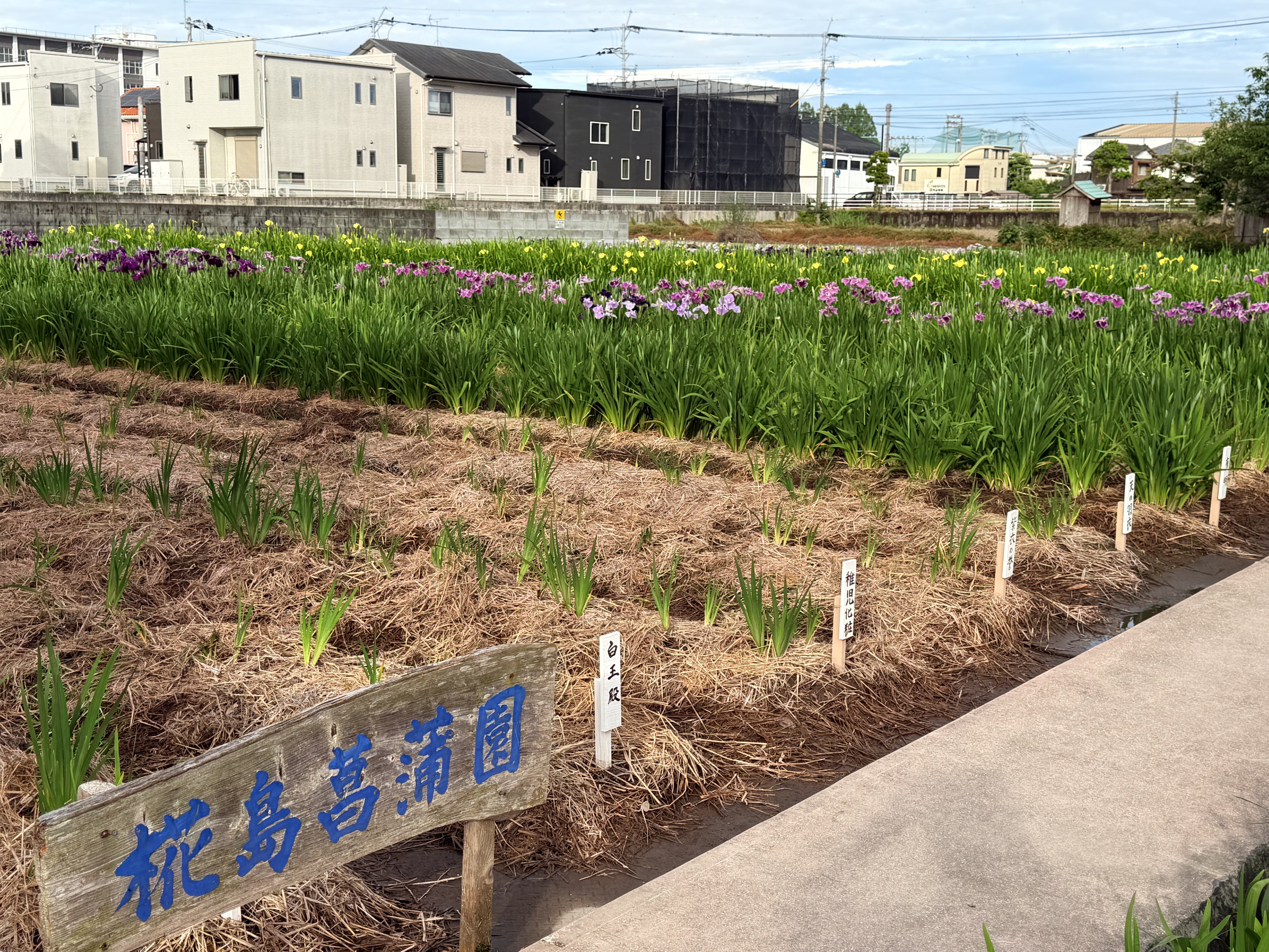 20260520_全体北東より.JPG