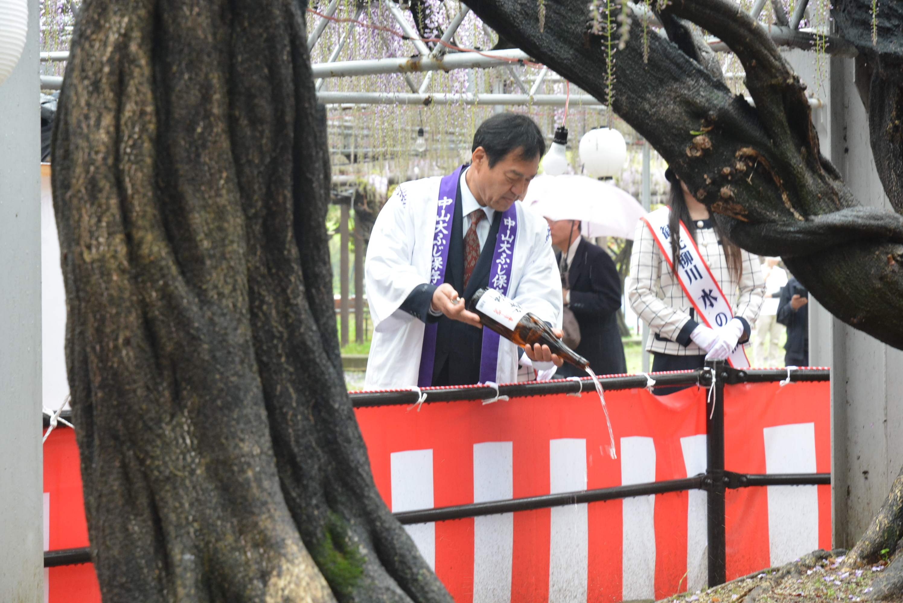 ●大藤まつり開会式2.JPG