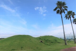 築山養生完了_掲載.JPG