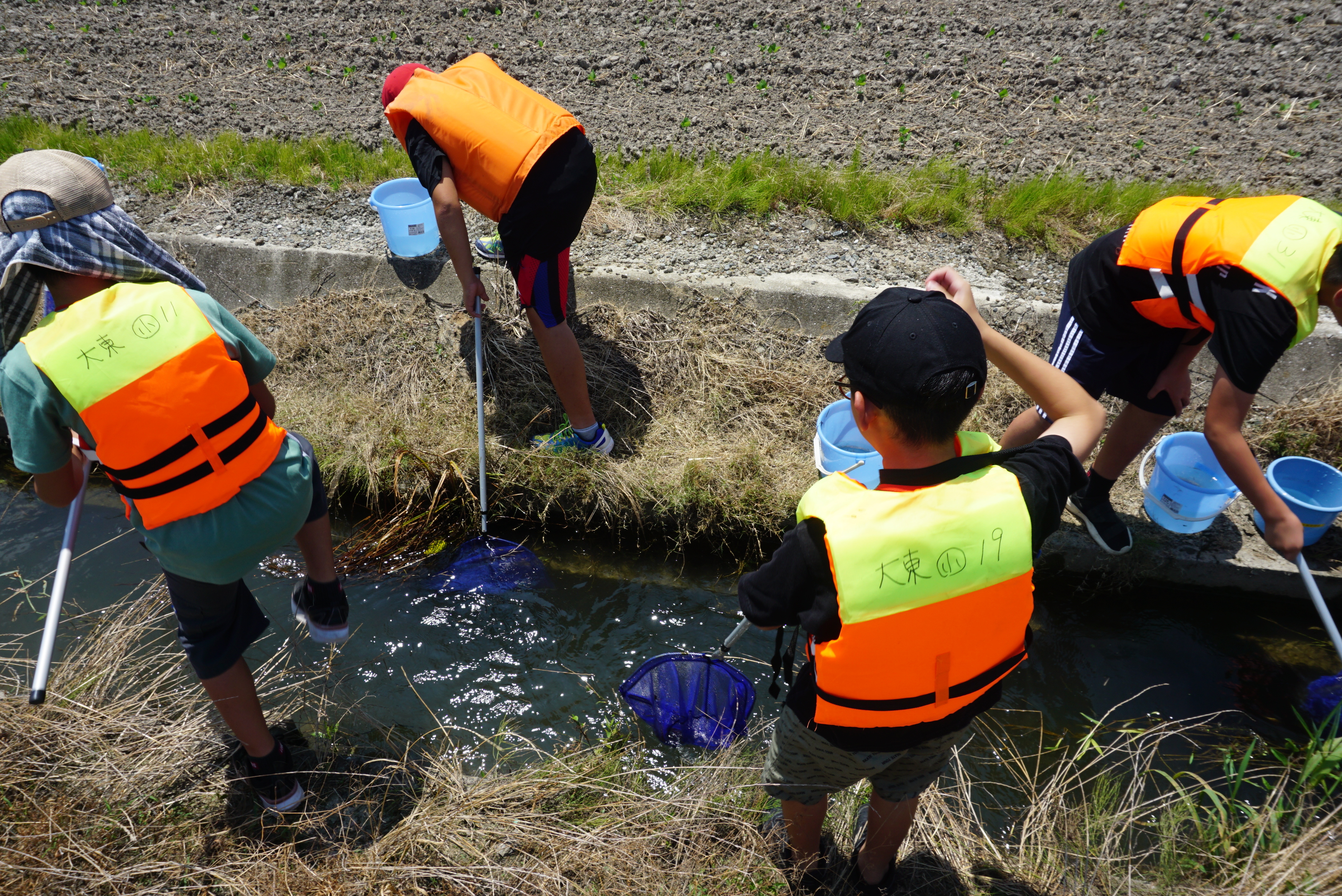 水路で生き物をとる様子