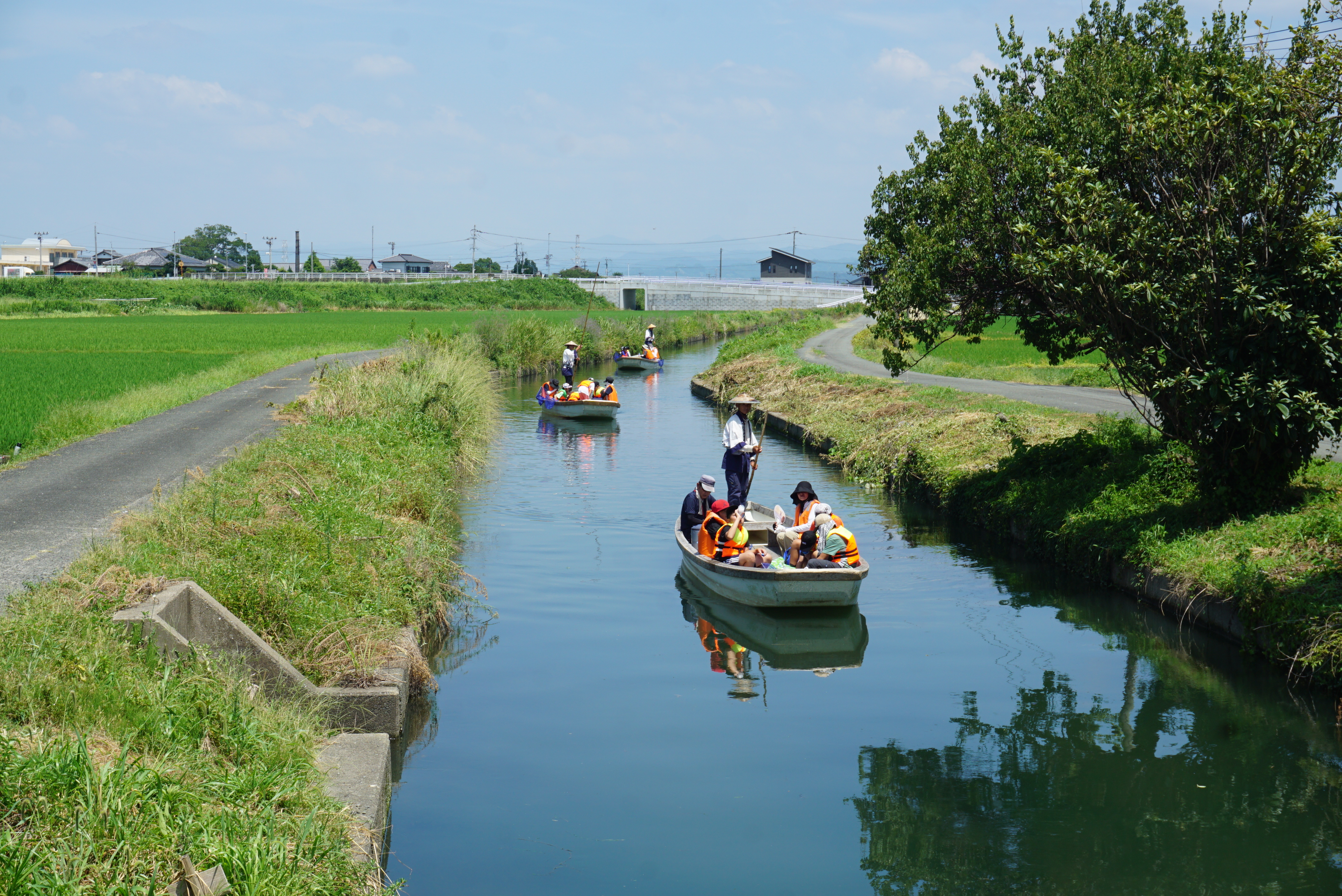 どんこ船で生き物を観察する様子