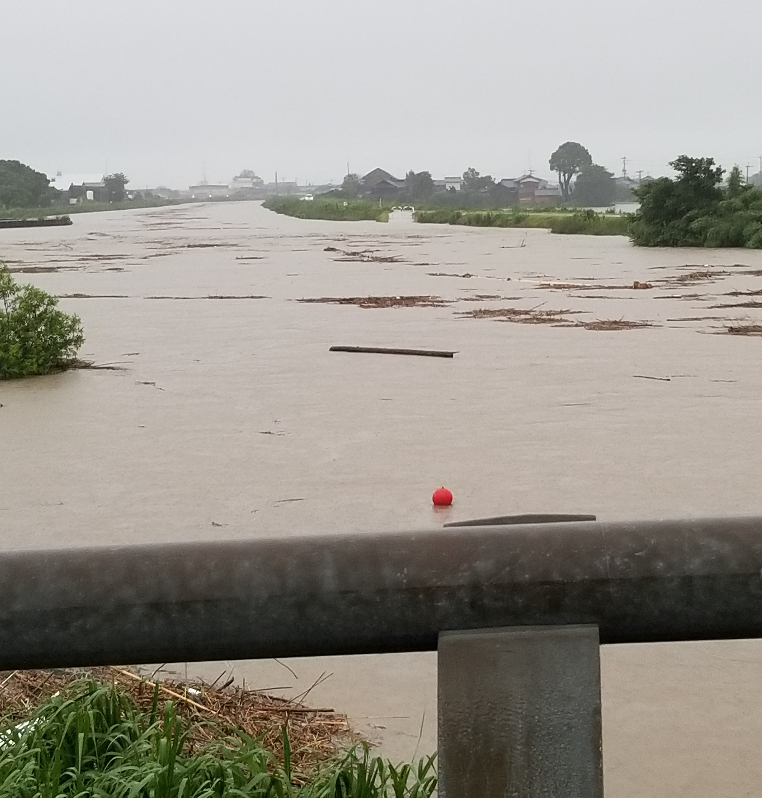 令和2年7月豪雨で増水した沖端川の写真