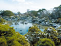 御花・松濤園