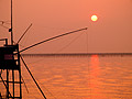 有明海夕日の画像