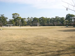 三橋町高畑公園