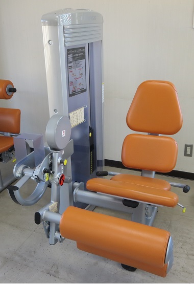 レッグカール&エクステンション