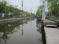 沖端の柳並木の堀割