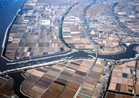 柳川市の航空写真