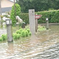 冠水した白秋道路の写真