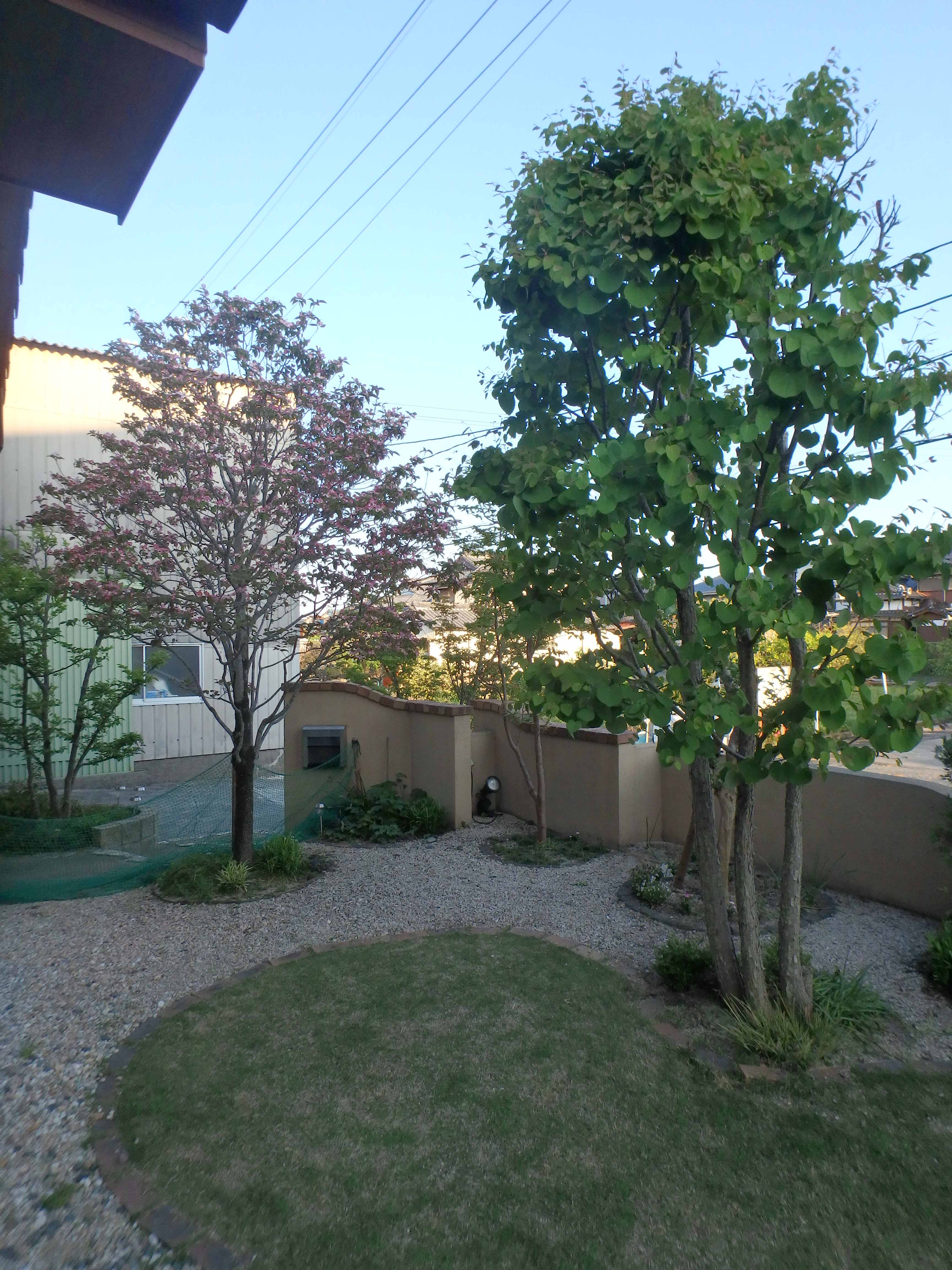 松永部長宅の庭の写真1
