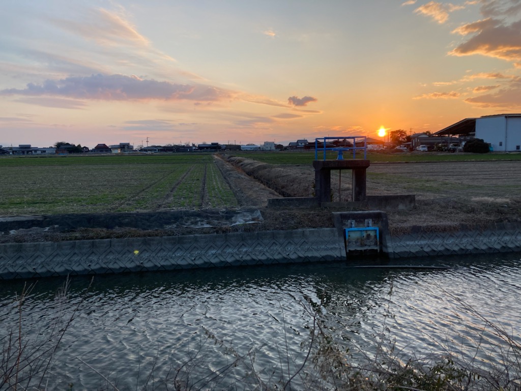 田園風景の写真