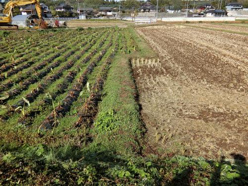 「布田川断層帯」の堂園地区