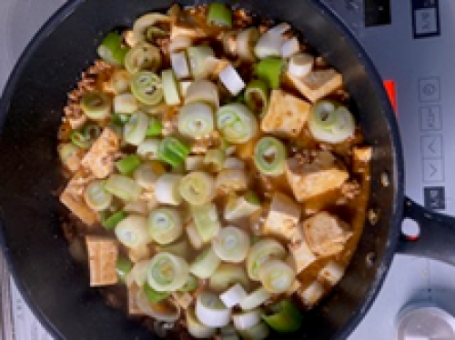 ねぎましまし麻婆豆腐