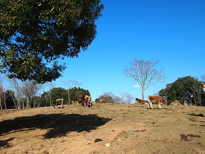 06.jpg