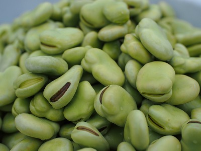 soramame01.jpg