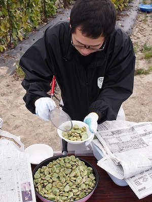 soramame04.jpg