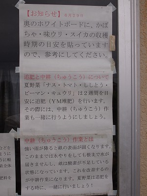 soyokaze05.jpg