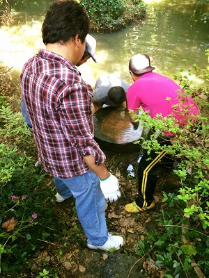dorotsukudon11.jpg