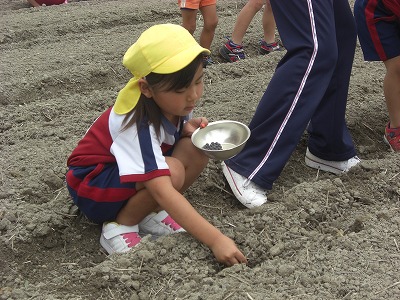 edamame02.jpg