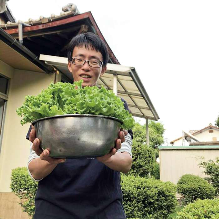 5月にリーフレタスを収穫