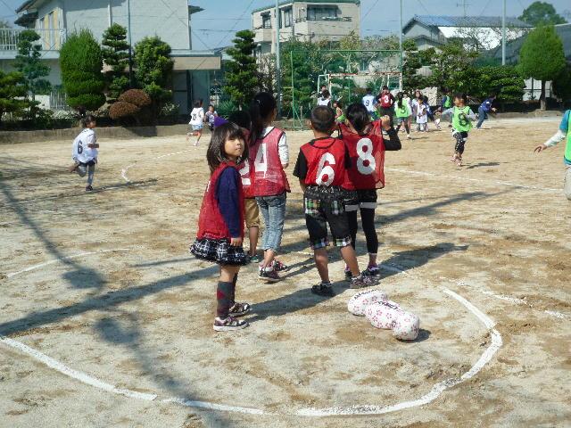 P1060471a.jpg